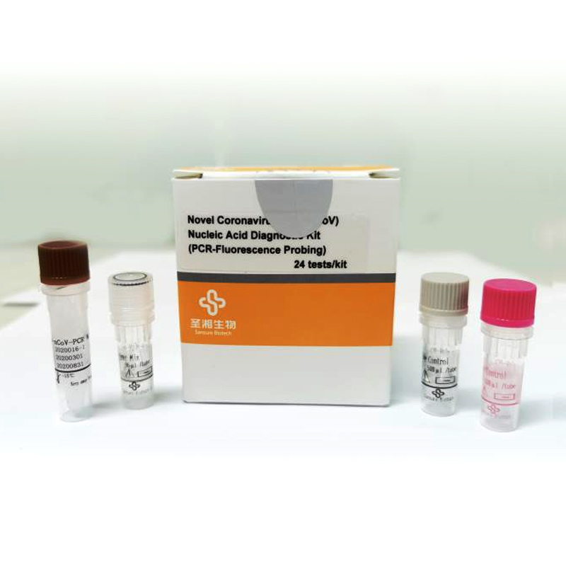 CE Certification Nucleic Acid Diagnostic COVID-19 Test Kit