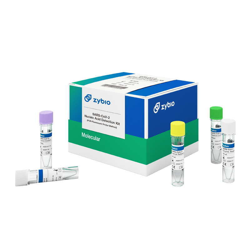 Corona Virus Sars-Cov2 Nucleic Acid Detection COVID-19 Test Kit